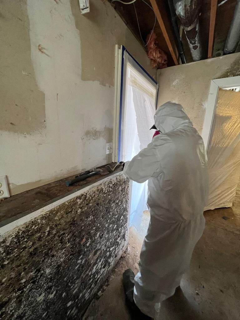Mold Remediation