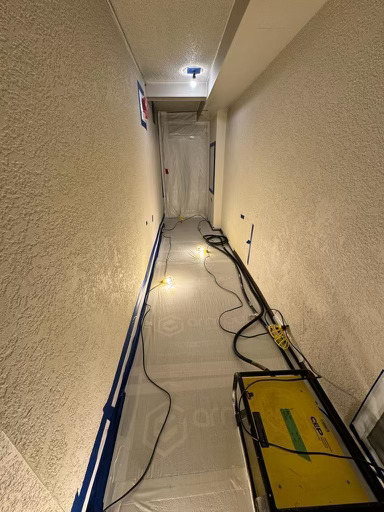 Mold Remediation